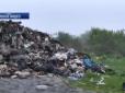 Імовірно, львівське сміття: На Рівненщині затримано вантажівку з відходами (відео)