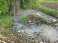 Через отруєну річку та дохлу рибу на Житомирщині селяни перекрили трасу