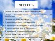 На носі червень: Які вихідні чекають на українців у першому літньому місяці
