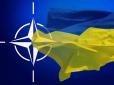 Україна обрала курс на членство в НАТО: У ВР питання внесли до порядку денного