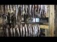 Обережно! Ботулізм!: Викрито можливого винуватця десятків отруєнь (відео)