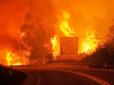 Люди згоріли заживо: Лісові пожежі у Португалії призвели до численних жертв (фото, відео)