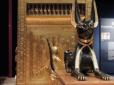 Кращі друзі 9 тисяч років: Учені дізнались, коли і де одомашнили котів