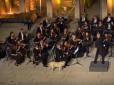 Концерт Віденського оркестру ледь не зірвався через появу хвостатого шанувальника музики (відео)