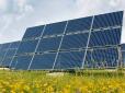 Інвестиція в $1 250 000 000: У Чорнобильській зоні має з’явитись гігантська сонячна електростанція