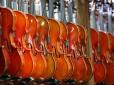 Поістерила на мільйон: Розлючена китаянка розтрощила коштовну колекцію скрипок