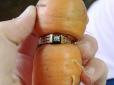 Заручена з овочем: Морква проросла через давно загублену на городі обручку (фото)