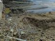Можна знімати фільм-катастрофу: Мережу шокував стан пляжів в окупованому Криму (фото)