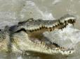 На популярному курорті крокодил затягнув у річку та вбив журналіста 