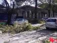 Ураганний вітер у Криму валив дерева на авто (фото, відео)