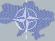 Все далі від московських скреп: В уряді повідомили, скільки українців підтримують вступ до НАТО та ЄС