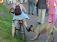 Обережно - собаки! Десять осіб постраждали від нападу безпритульних тварин в Ботанічному саду
