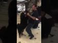 У мережі потрапило відео запальних танців Луценка з собакою