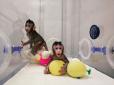 Далі - людина? Китайські науковці уперше клонували мавп (відео)