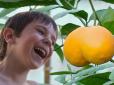 Вагою понад кілограм: У Запоріжжі виростили велетенський лимон (відео)