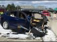 Пасажир згорів живцем: У США електрокар Tesla потрапив у моторошну аварію (відео)