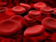 Хіти тижня. ТОП-7 фактів, які ви повинні знати про свою групу крові