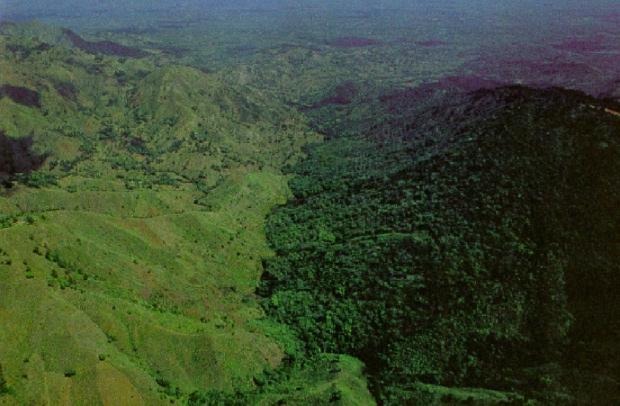Гаїті практично не стежить за вирубкою лісів, так що її сторона кордону гола в порівнянні з охоронюваними тропічними лісами Домініканської Республіки.