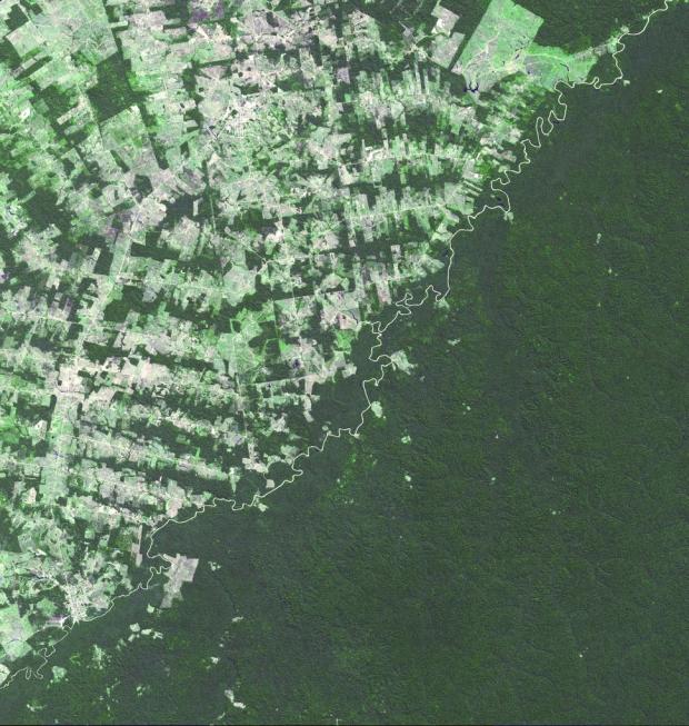 Бразилія (зліва) і Болівія (праворуч). Ця шокуюча межа показує різні рівні захисту тропічних лісів в країнах.