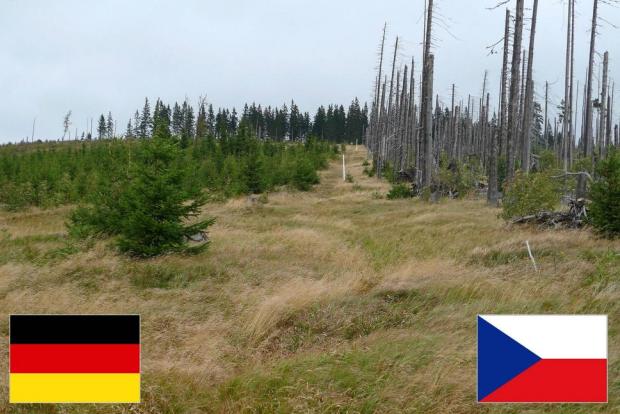 Німеччина і Чехія. Ця межа показує два досить різні підходи до боротьби з короїдом. Німеччина вирила і пересадила дерева, в той час як Чехія ... просто пустила все на самоплив.