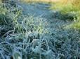Зниження температури: В Укргідрометцентрі попередили про заморозки в Україні