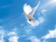28 травня - День Святого Духа: Що категорично не можна робити