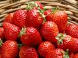 Солодкі ліки: Вчені назвали ягоду, яка бореться із раком