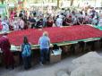 Полуниця з картинки: У Дніпрі виготовили рекордне панно з солодкої ягоди (фото)