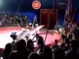 Глядачі були у шоці: У російському цирку ведмідь напав на дресирувальника (відео 12+)
