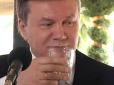 Горілка, полювання, олігархи: Кравчук розповів, як розважався з Януковичем