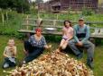 Смачний рекорд: На Буковині за один вихід у ліс родина назбирала 92 кг грибів