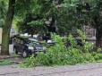 Повалені дерева та розтрощені автівки: Одесу накрила стихія (фото)
