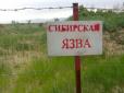 Сибірська виразка! В Україні зафіксовано спалах небезпечної хвороби