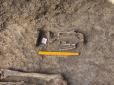 На Херсонщині розкопали унікальне поховання бронзового століття (фото)