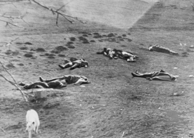 Білий пес біля тіл загиблих у бою бійців «Карпатської Січі», які обороняли від угорських окупантів місто Хуст, 16 березня 1939 року