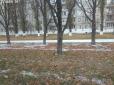 Зима близько: У Києві випав перший сніг (фото, відео)