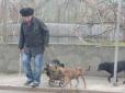 Банда діє жорстко, злагоджено і швидко: У Херсоні зграя собак відбирає їжу у жінок та пенсіонерів (фотофакти)
