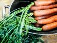 Лікарі назвали 7 цінних для здоров'я людини властивостей моркви