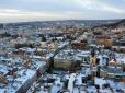 Звіряча розправа: У Львові підлітки навмисно викинули кота з 9-го поверху й зняли це на відео