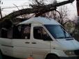 На Київщині дерево розчавило маршрутку (фото)