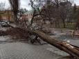 Повалені дерева, зірвані дахи та людські жертви: Сильний вітер наробив лиха в Україні (фото, відео)