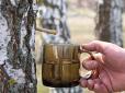 Кому дозволено збирати березовий сік в Україні, а кому 