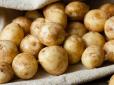 А ви це знали? Як не можна зберігати молоду картоплю