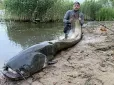 Може мати вік понад 50 років: Польський рибалка впіймав сома-гіганта (фото)