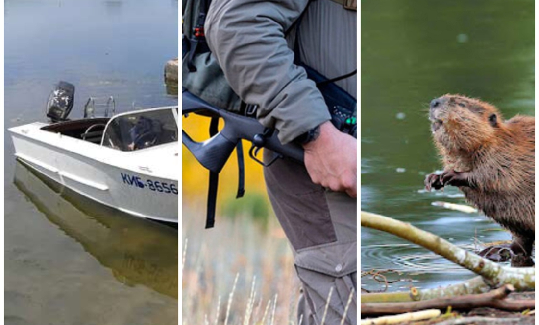 На Чернігівщині чоловік стріляв у бобра, а поцілив собі у кримінальний термін, конфіскацію майна та штрафи