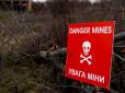 М'ясо російських загарбників утилізуватиметься в рази краще? Дві країни НАТО готові виробляти протипіхотні міни для України