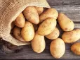 Одна помилка - і картопля втрачає всі вітаміни. Ви могли це не знати!