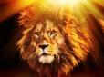 Сезон Лева змінює правила гри: Названо знаки зодіаку, які вирвуться вперед