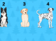 Психотест: Оберіть собаку - і дізнайтеся, що вона 