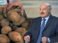 І це не Білорусь: У колишній країні СРСР будуть карати за торгівлю картоплею